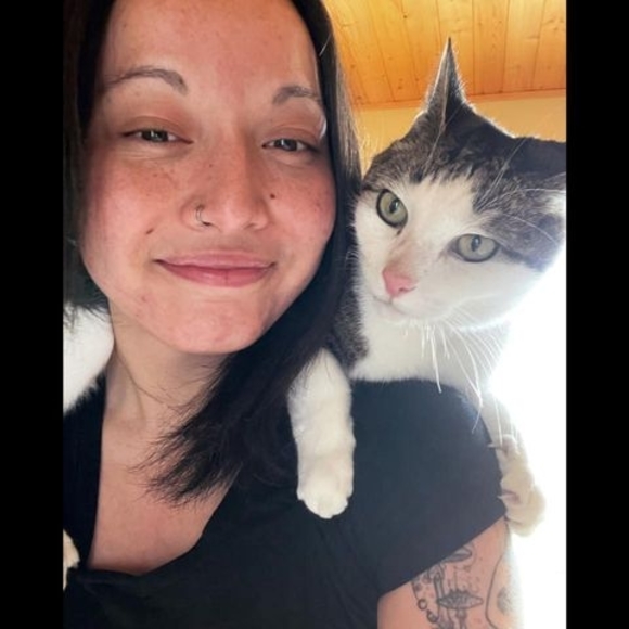 Meet your Posher, Leilani rose - Picture 1 of 1